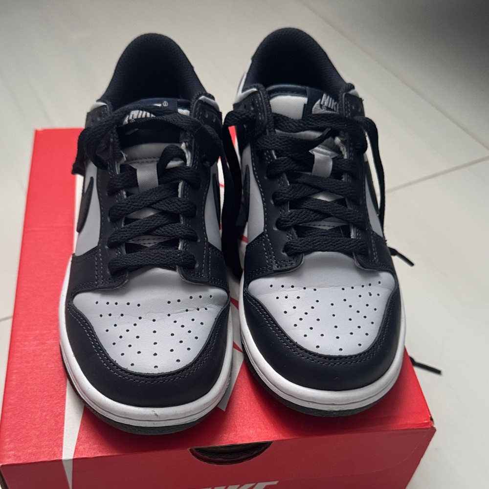 Nike Dunks Blue & Gray